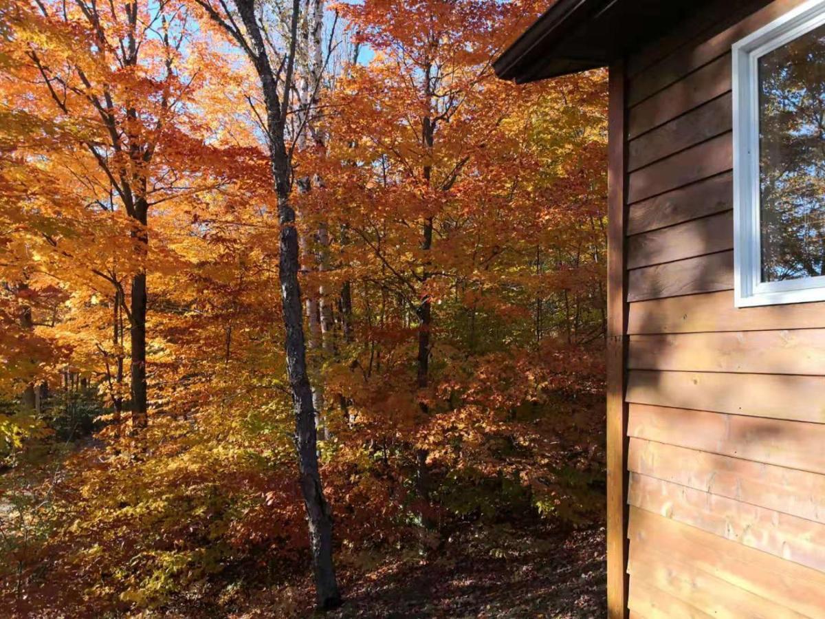 Sunny Point Resort Otter Lake